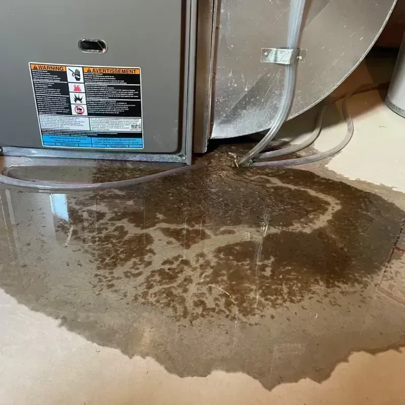 Appliance Leak Cleanup in Olivette, MO